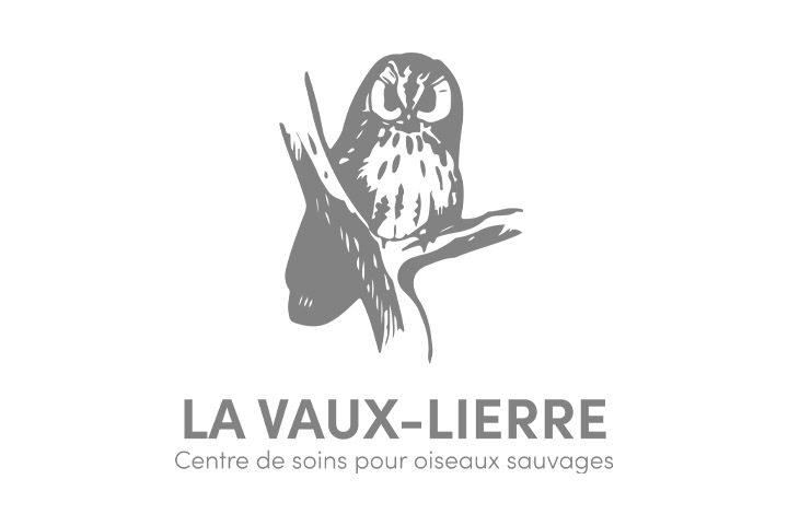 Vaux-Lierre
